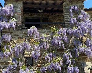 Guest house 09551903 - Holiday property Tuscany / Elba - Casale del Sorriso