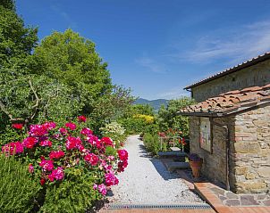 Verblijf 09553903 - Appartement Toscane / Elba - Appartement Il Borghetto