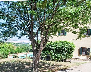 Unterkunft 0955821 - Ferienhaus Toskana / Elba - Vakantiehuis Podere Valle di Sotto
