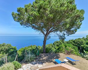 Guest house 09575601 - Holiday property Tuscany / Elba - Vakantiehuis L'Aietta di Maciarello