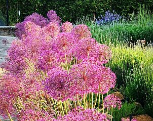 Guest house 0961502 - Holiday property Luxembourg - Huisje in Torgny