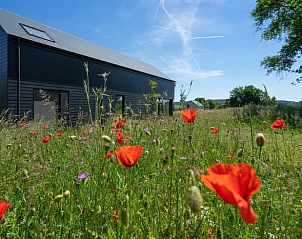 Unterkunft 096204 - Ferienhaus Luxemburg - Huisje in Warempage