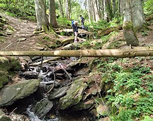 Guest house 096369 - Holiday property Luxembourg - Vakantiehuis La-Roche-en-Ardenne 5 personen