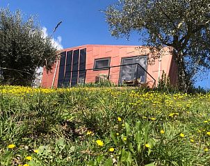 Unterkunft 09639802 - Ferienhaus Umbrien / Marken - Huisje in Petritoli