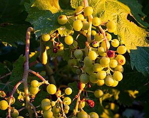 Unterkunft 09648202 - Ferienhaus Umbrien / Marken - Huisje in San Marcello