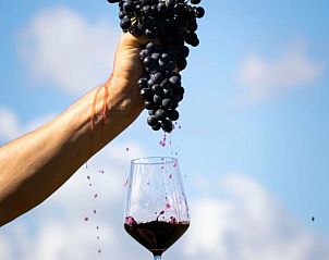 Unterkunft 09648202 - Ferienhaus Umbrien / Marken - Huisje in San Marcello