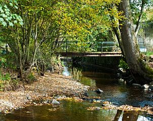 Restful nature at Gite au bord de l'Aisne, vacation home in Ereze, Ardennes, Belgium with babbling brook.