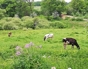 Verblijf 0972501 - Chalet Ardennen (Luxemburg) - Vakantiehuisje in Our