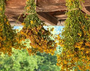 Guest house 09733701 - Holiday property Piedmont - Vakantiehuisje in Tetto Caban