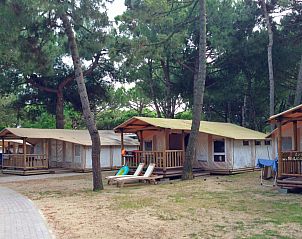 Unterkunft 0988341 - Zelthaus Veneto / Venedig - SunLodge Jungle