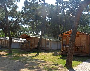 Unterkunft 0988341 - Zelthaus Veneto / Venedig - SunLodge Jungle