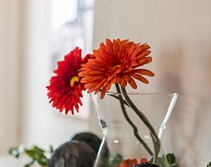 Guest house 1000201 - Bed and Breakfast East Flanders - De Perenboom