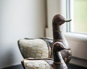 Guest house 1000201 - Bed and Breakfast East Flanders - De Perenboom