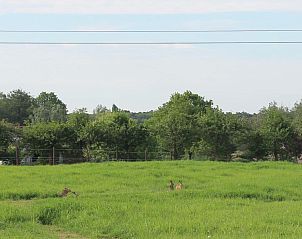 Guest house 1000201 - Bed and Breakfast East Flanders - De Perenboom