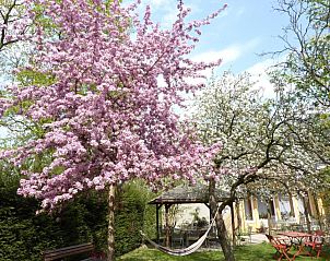 Unterkunft 10002701 - Appartement Rheinland-Pfalz - Hotel Oranien