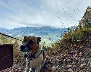 Guest house 10011401 - Holiday property Karnten - Familie Lemberger