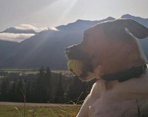 Guest house 10011401 - Holiday property Karnten - Familie Lemberger