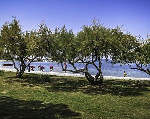 Guest house 10310328 - Apartment Dalmatia - Appartement Devi?