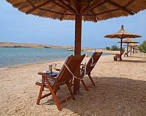 Unterkunft 10312410 - Appartement Dalmatien - Appartement Melandura