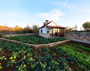 Unterkunft 10313301 - Ferienhaus Dalmatien - Vakantiehuis Bili dvori