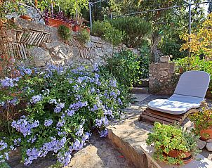Guest house 10316101 - Holiday property Dalmatia - Vakantiehuis Mirna