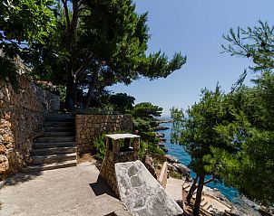 Guest house 10317506 - Apartment Dalmatia - Appartement Plavac Mali