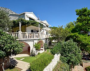 Guest house 10317506 - Apartment Dalmatia - Appartement Plavac Mali