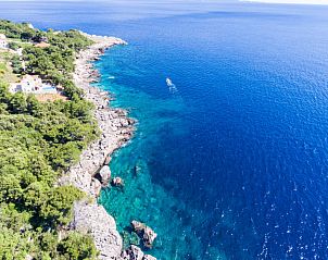 Guest house 10317506 - Apartment Dalmatia - Appartement Plavac Mali