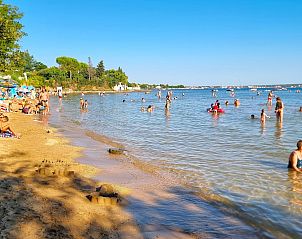 Guest house 1034721 - Apartment Dalmatia - Appartement Erdgeschoss-Ferienwohnung mit Garten und Pool