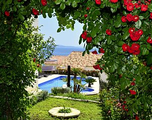 Guest house 1037417 - Apartment Dalmatia - Appartement Villa Andjelka