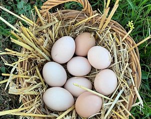 Verblijf 10427202 - Appartement West-Kaap - Potteberg Guest Farm