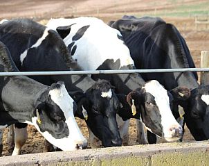 Verblijf 10427202 - Appartement West-Kaap - Potteberg Guest Farm