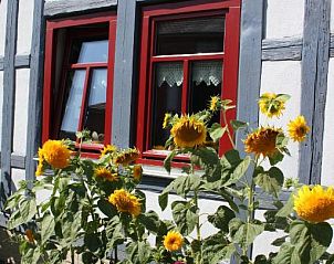 Verblijf 10903202 - Appartement Thüringen - Café Landart im Thüringer Finistere