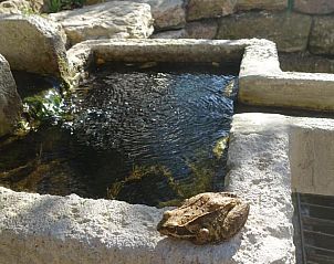 Verblijf 10903202 - Appartement Thüringen - Café Landart im Thüringer Finistere