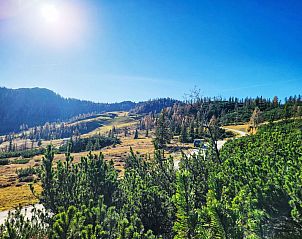 Unterkunft 11316905 - Appartement Salzburgerland - Appartement Sennerin