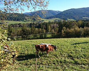 Guest house 11325901 - Apartment Salzburg - Haus Aineckblick