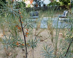 Guest house 113307 - Holiday property Belgian Coast - Helmduin