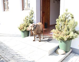 Unterkunft 1135402 - Ferienhaus Salzburgerland - Pehambauer