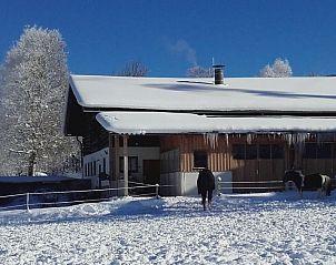 Guest house 1137206 - Apartment Salzburg - Appartement Rossbrand