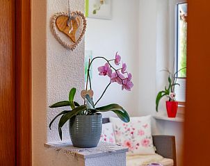 Guest house 1139107 - Holiday property Salzburg - Sonnenschein I