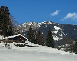 Guest house 11425607 - Holiday property Karnten - Chalet Helena