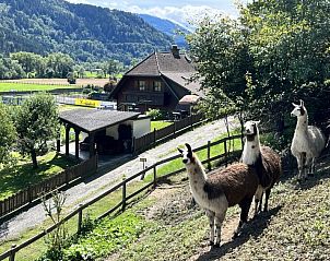Guest house 1153401 • Holiday property Steiermark • Vakantiehuis Lama 