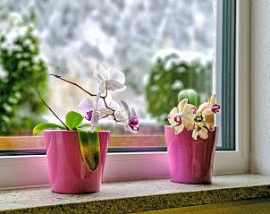 Unterkunft 116102205 - Appartement Tirol - Appartement Haus 201