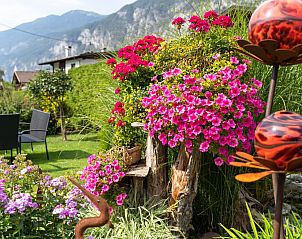 Guest house 11616003 - Holiday property Tyrol - Haus Wammes