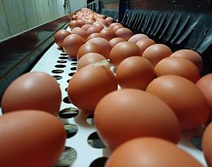 Guest house 11623504 - Apartment Tyrol - Appartement Das Panoramal