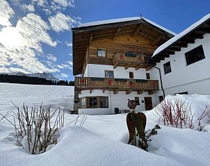 Guest house 11623717 - Apartment Tyrol - Appartement Gassreith