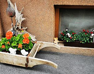 Guest house 11625402 - Holiday property Tyrol - Wohlfarter