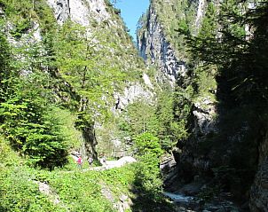 Verblijf 11636305 - Appartement Tirol - Appartement Waldruhe