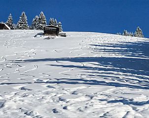 Guest house 1169041 - Apartment Tyrol - Appartement Almchalet Zillertal