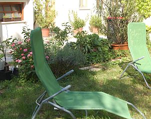 Guest house 1171702 - Apartment Burgenland - Appartement Hofgasse